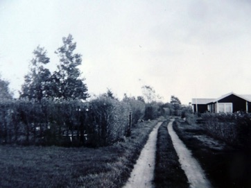 OVER STRANDEN, vejen i 1960erne.jpg OVER STRANDEN, vejen i 1960erne.jpg